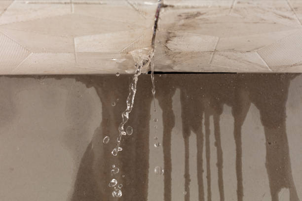 Professional Water Damage Restoration technician working in Brownsboro, TX